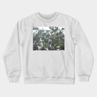 Forest Sun Rays in the Snow #45 Crewneck Sweatshirt